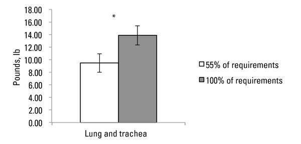Fig 2. Lung plus trachea wghts of steers born to first-calf heif